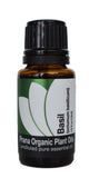 Organic Basil Essential Oil