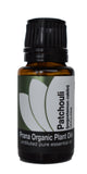 Organic Patchouli Essential Oil