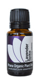 Organic Spike Lavender Essential Oil