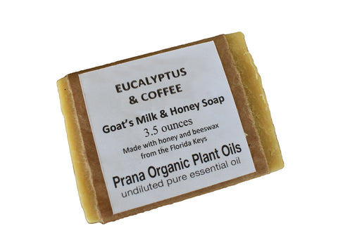 Eucalyptus Coffee Honey Goat Milk Soap