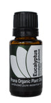 Essential Oil Set #2 for Tension, Fatigue, & Exhaustion