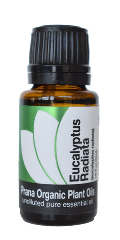 Organic Eucalyptus Radiata Essential Oil