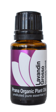 Organic Lavandin Grosso Essential Oil